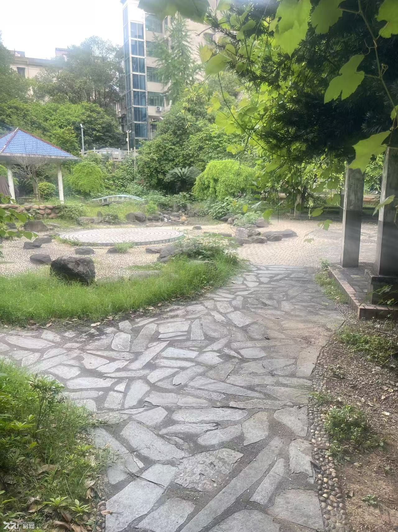 城市中心独栋六层整楼出租 - 3