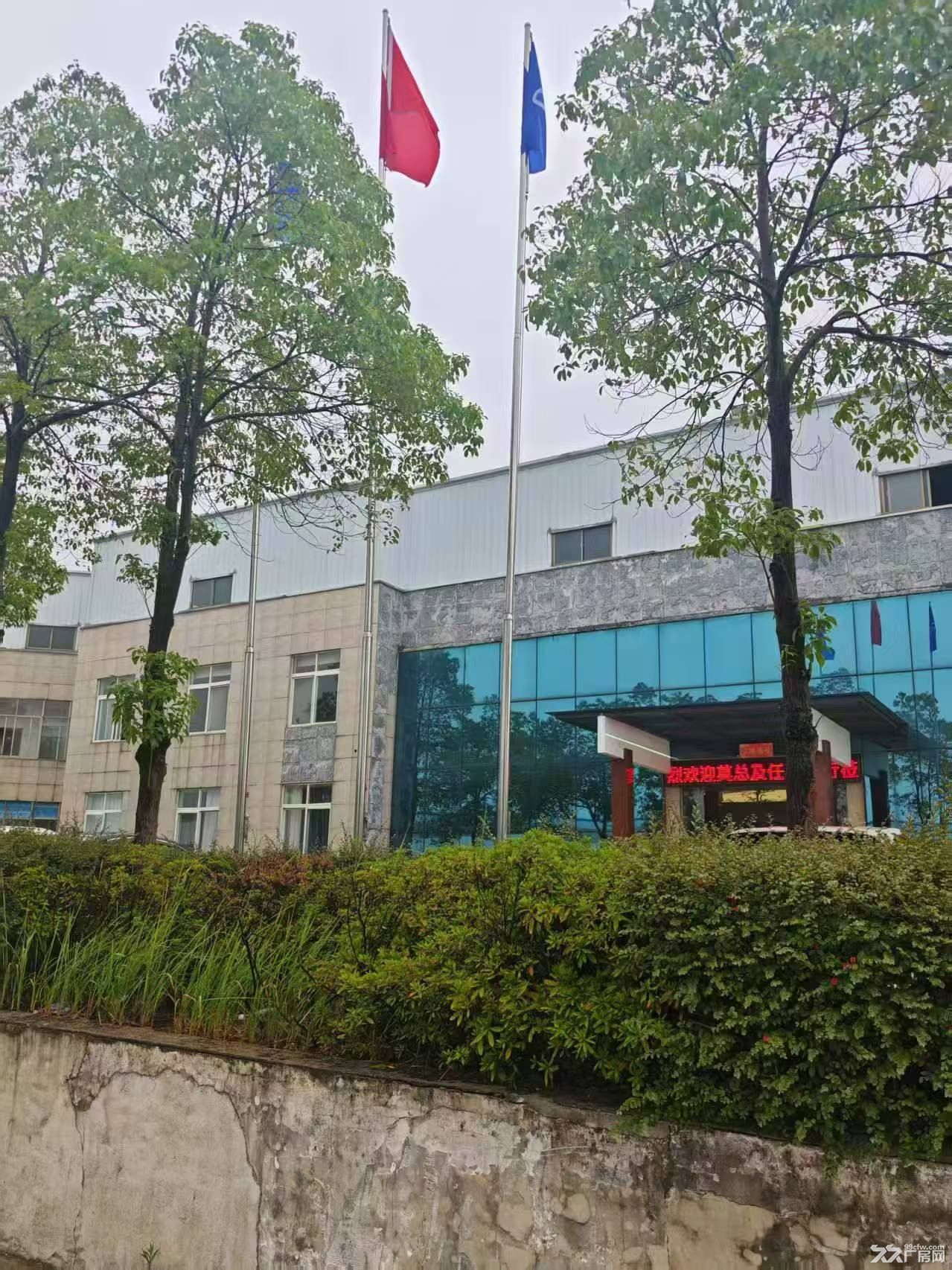 湘阴工业园标准钢结构厂房仓库出租 - 5