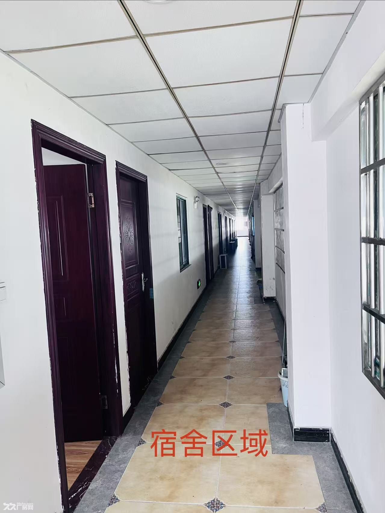望城经济开发区独门独院3000平标准厂房出租 - 5