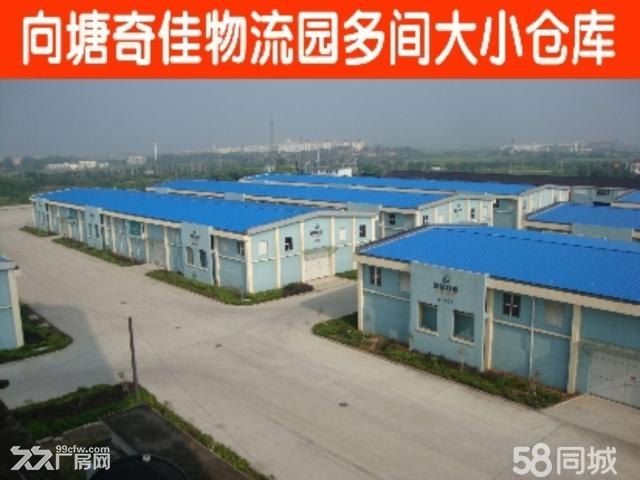 出库空地3000多平 - 3