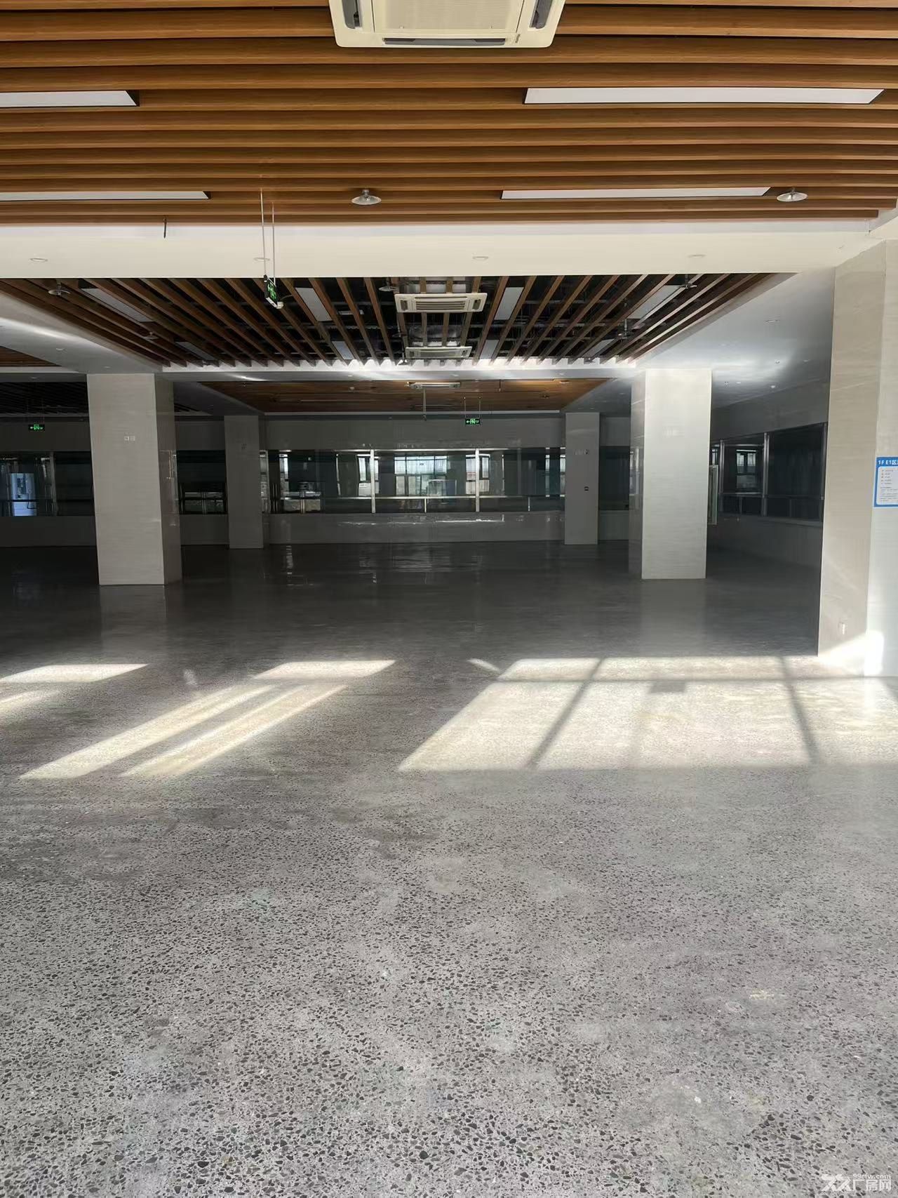 郑州航空港核心区厂房出租 - 3