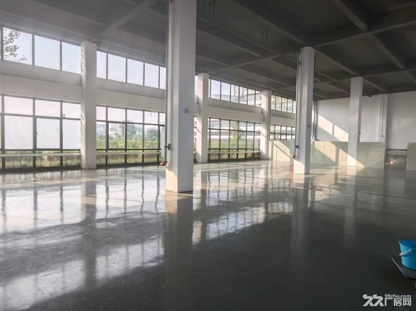 郫县高新西，精装独栋。领包入住2500平品质产品