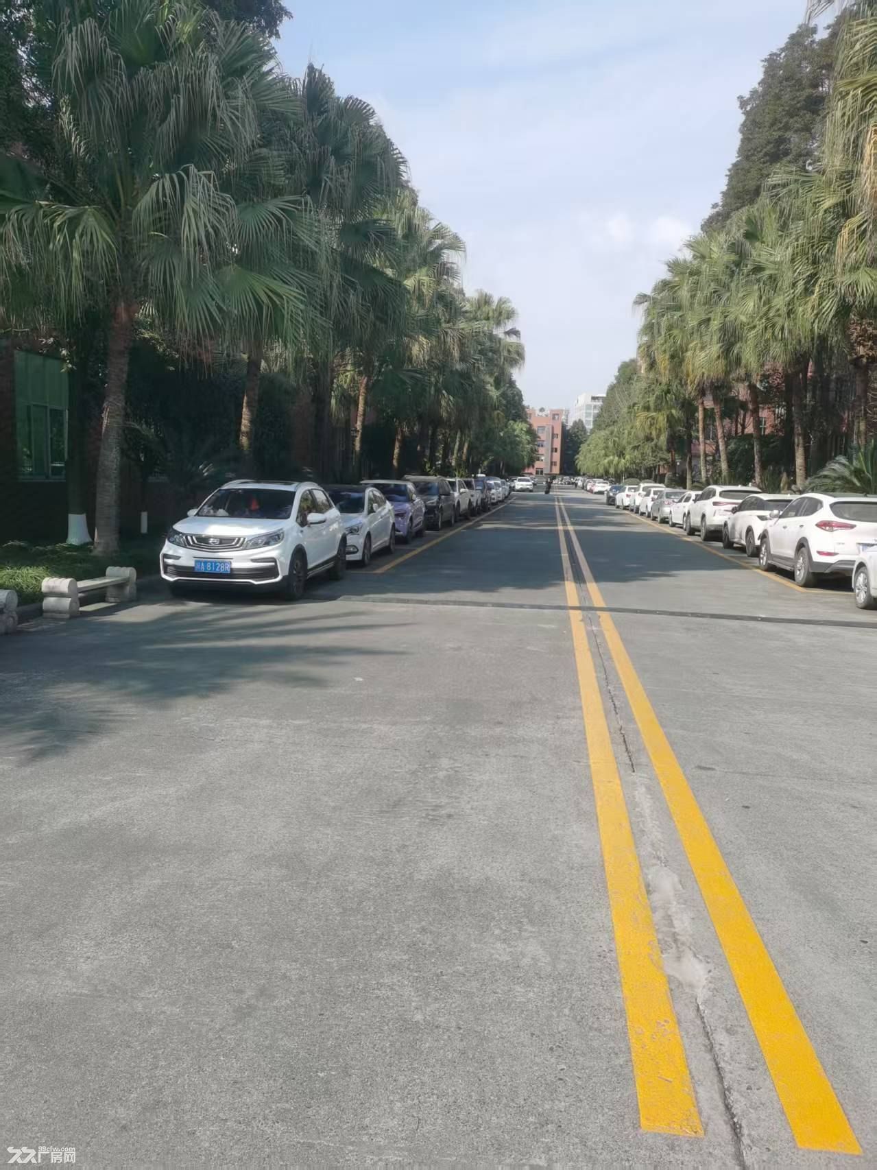 温江独门独院厂房-华银工业港