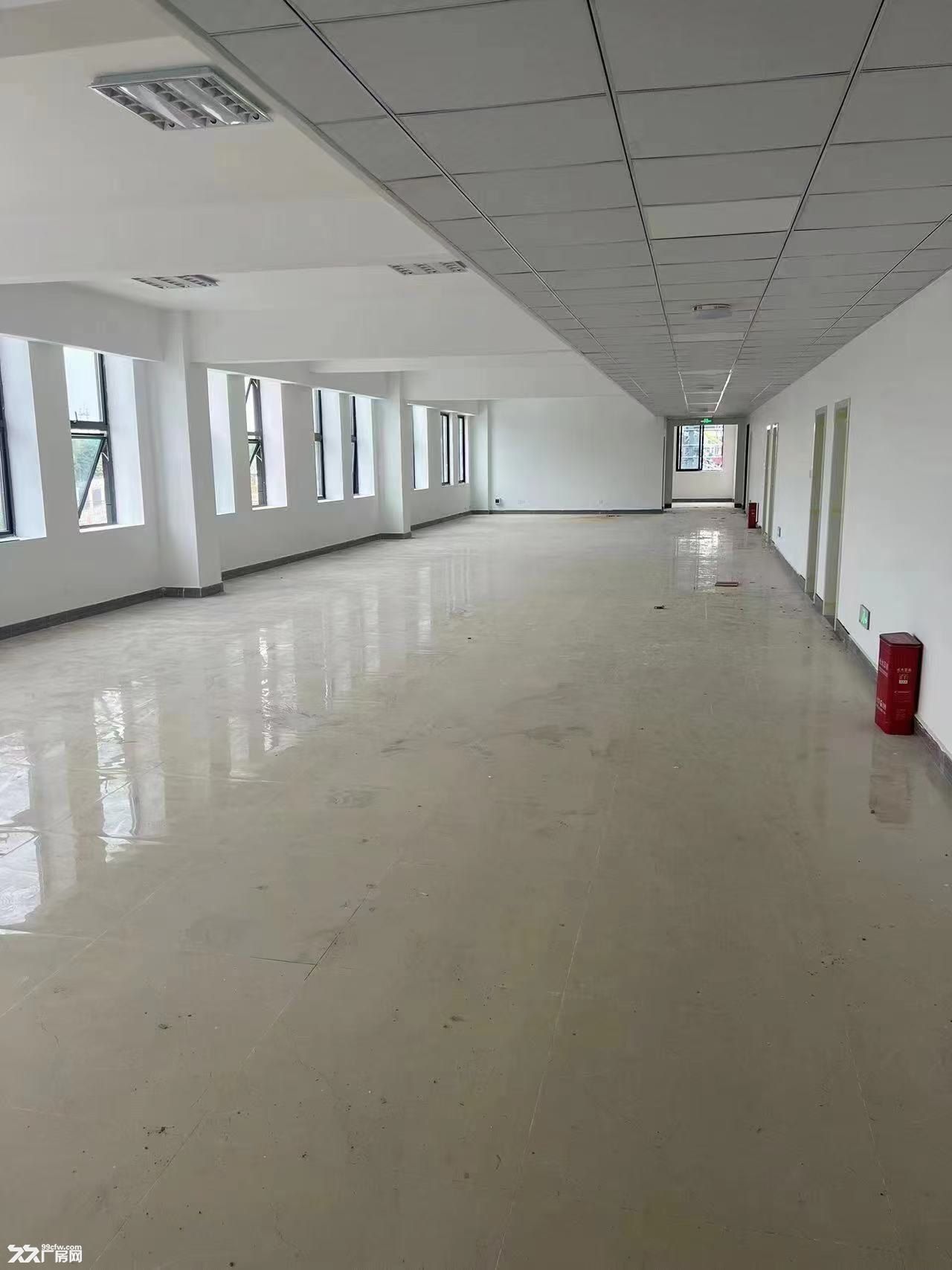 蒲江工业园区16000平全新标准厂房出租出售 - 2