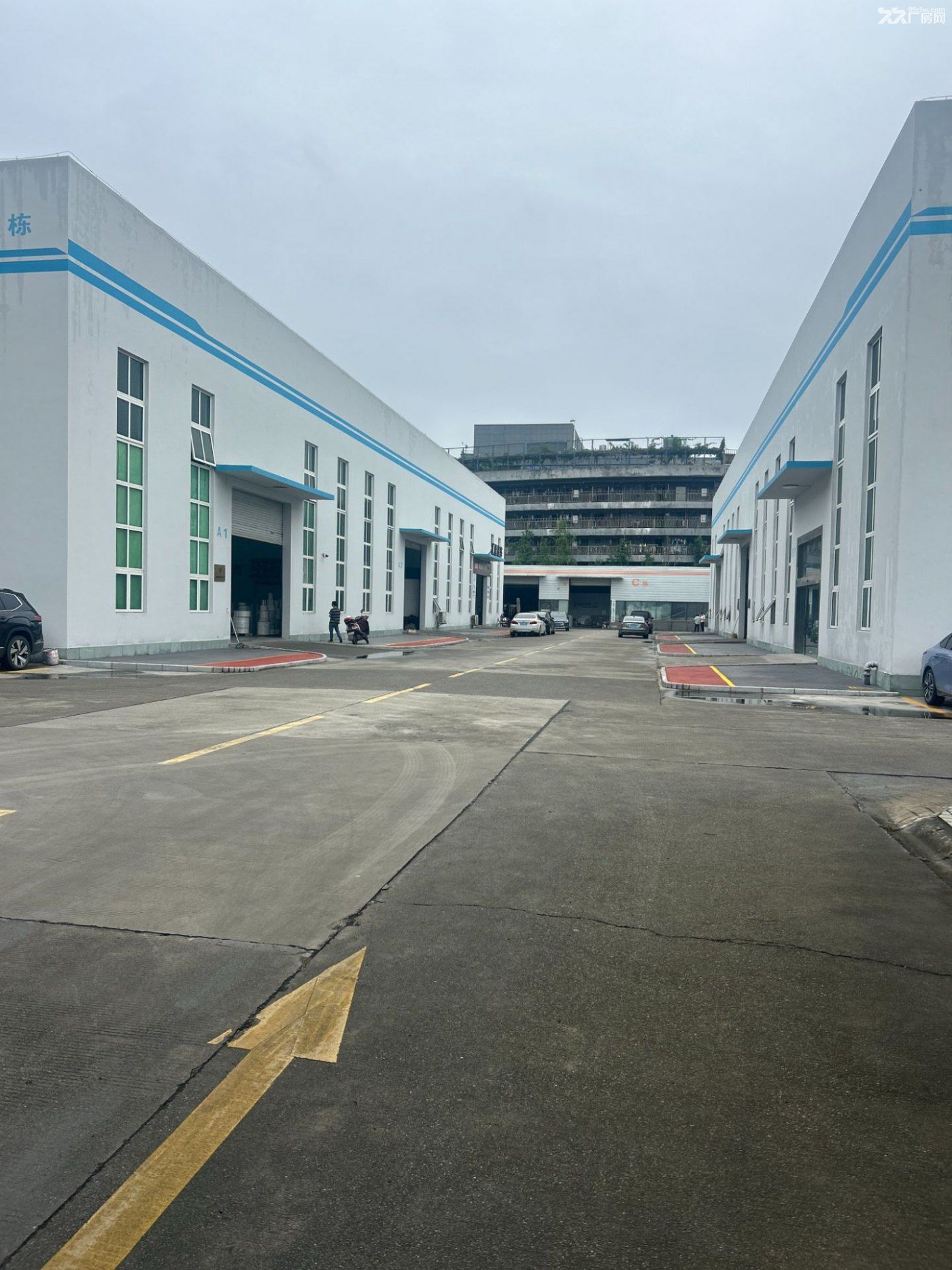 高新西区高净空标准厂房出租 - 2