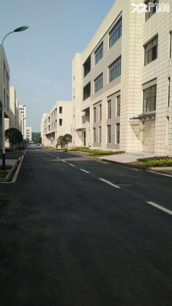 标准厂房写字楼租售(满足不同企业面积需求) - 7