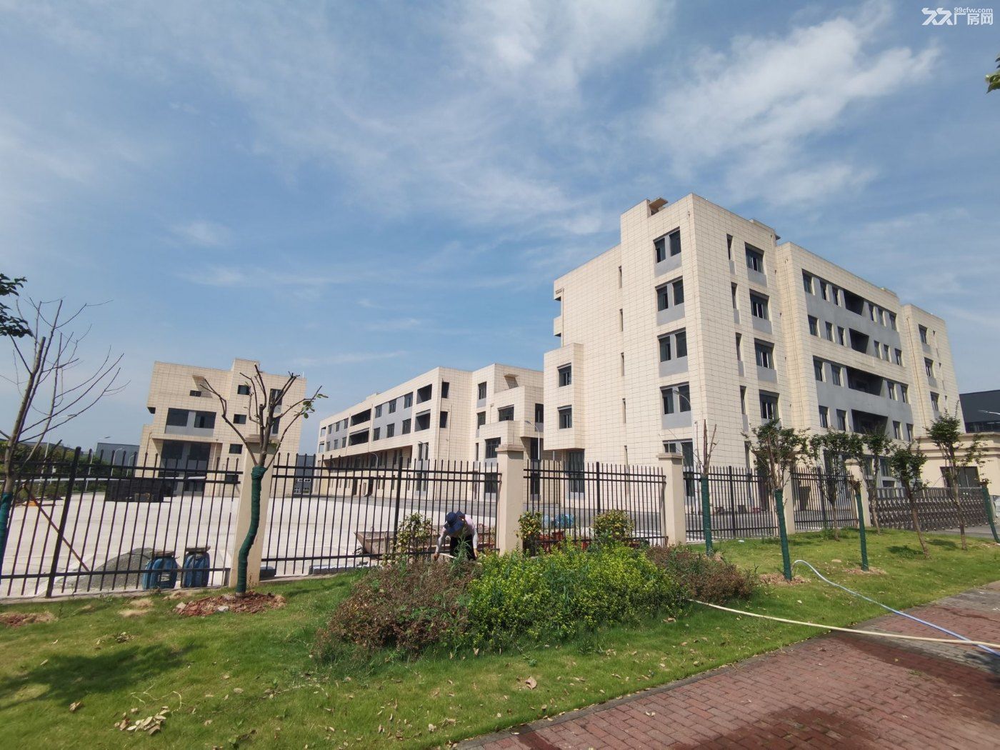永川凤凰湖园区厂房租售 - 7
