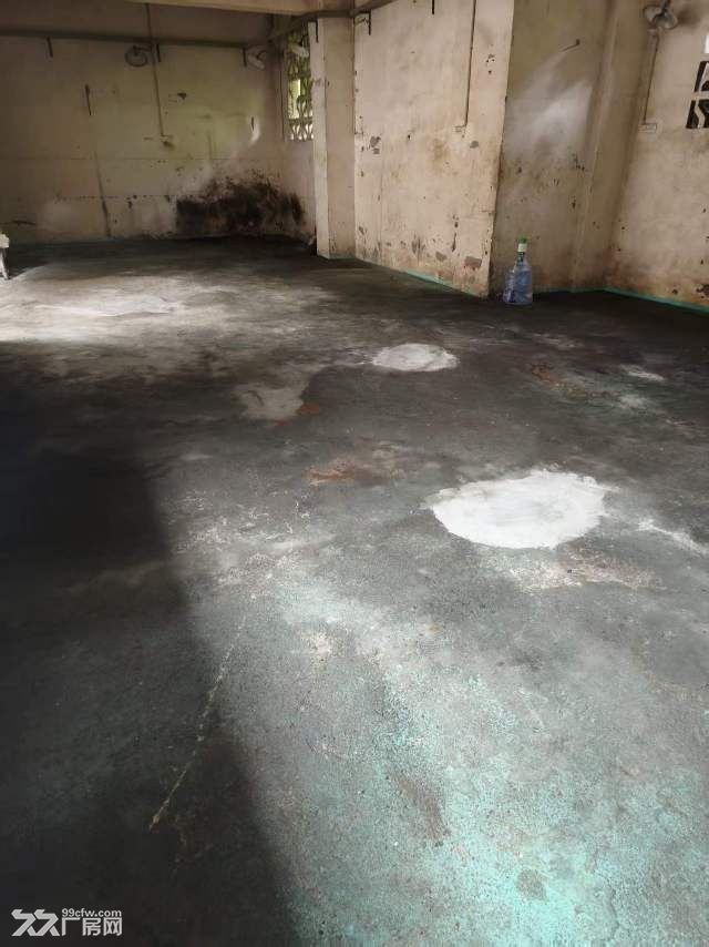 小型厂房出租，可做库房