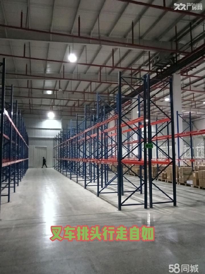 仓库出租**高端仓储物流招商出租 - 5