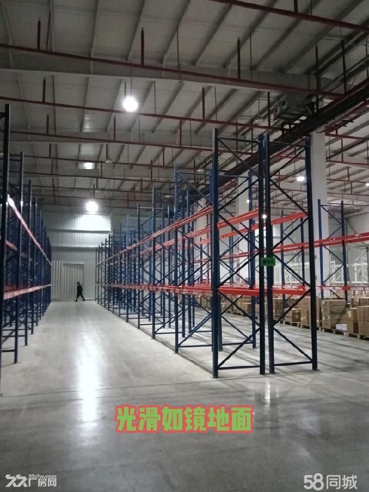 仓库出租**高端仓储物流招商出租 - 6