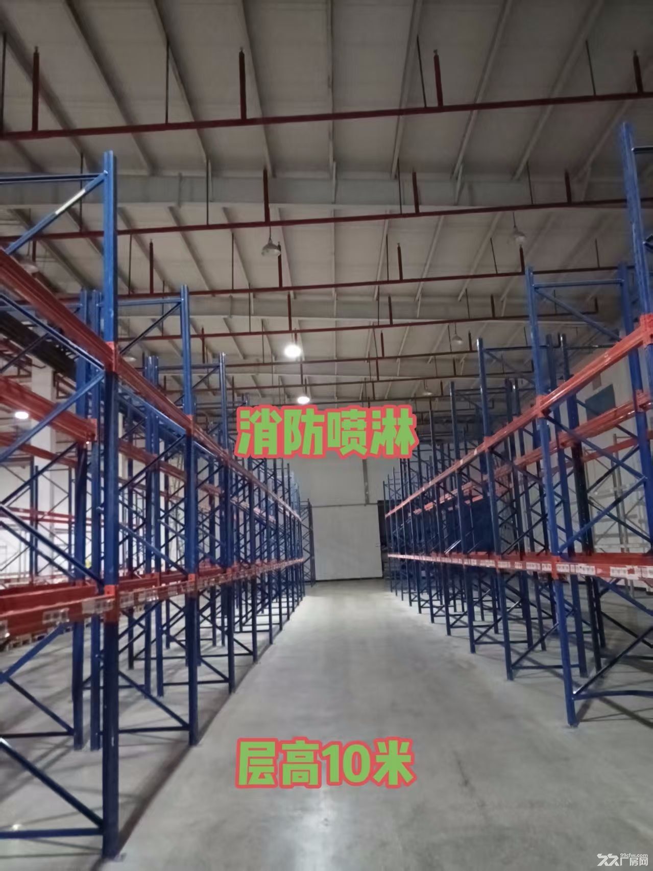 仓库出租**高端仓储物流招商出租 - 4