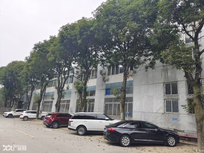 金山工业集中区浦上园标准厂房 - 3