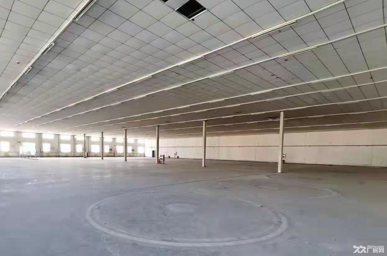 出租高新区裕华东路标准工业厂房1000-5000㎡ - 5