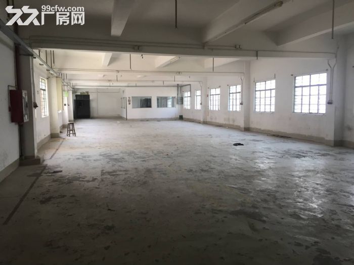 清溪经典独院厂房招租2700平 车间刷绿色地平漆 - 4