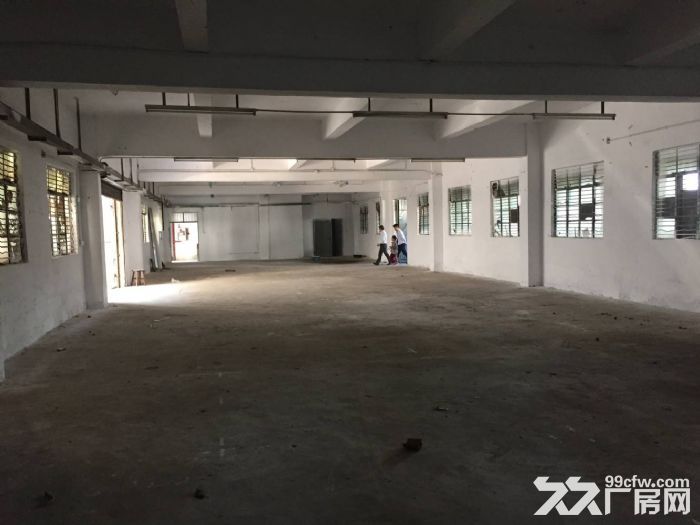 清溪经典独院厂房招租2700平 车间刷绿色地平漆 - 3