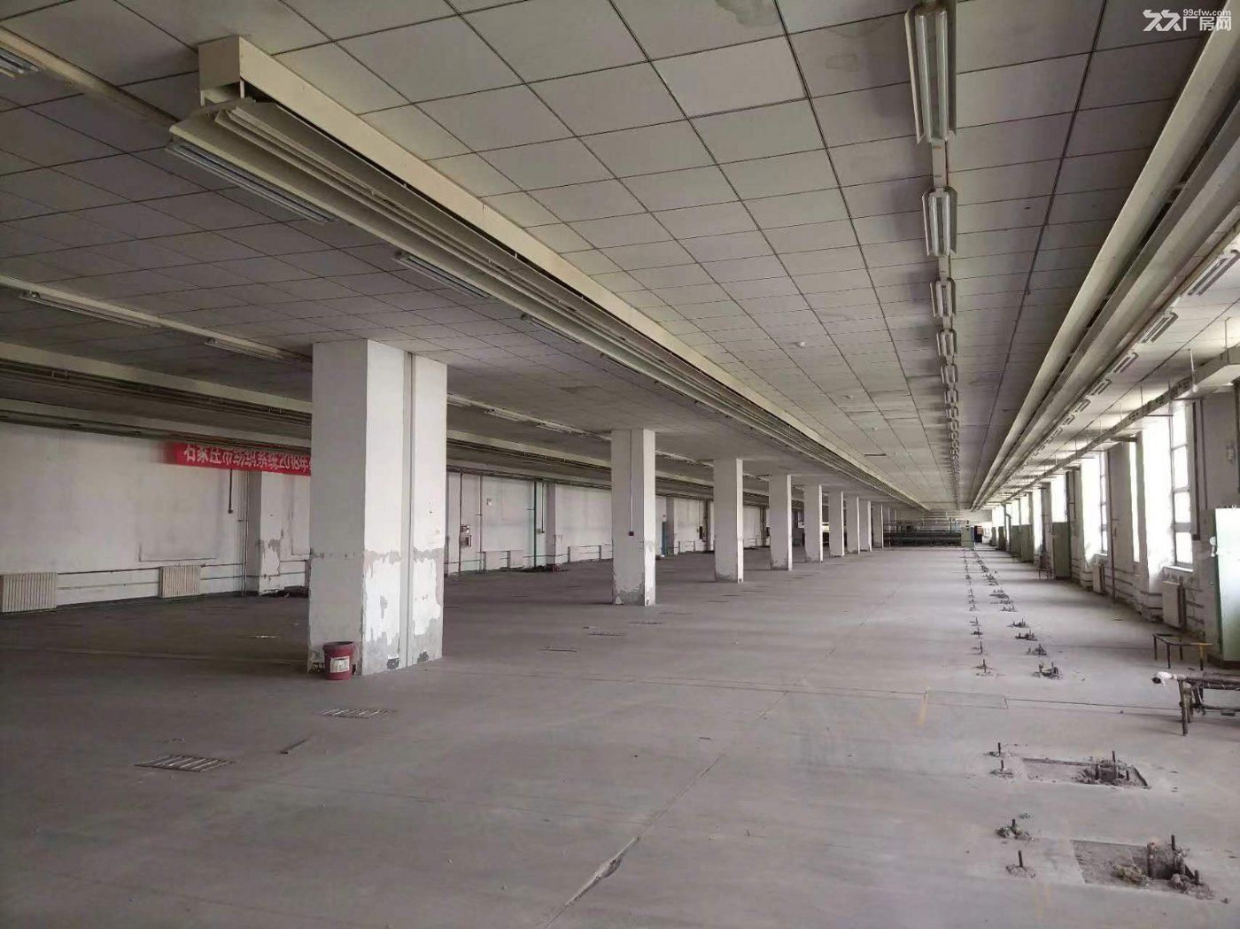 出租高新区裕华东路标准工业厂房1000-5000㎡ - 8