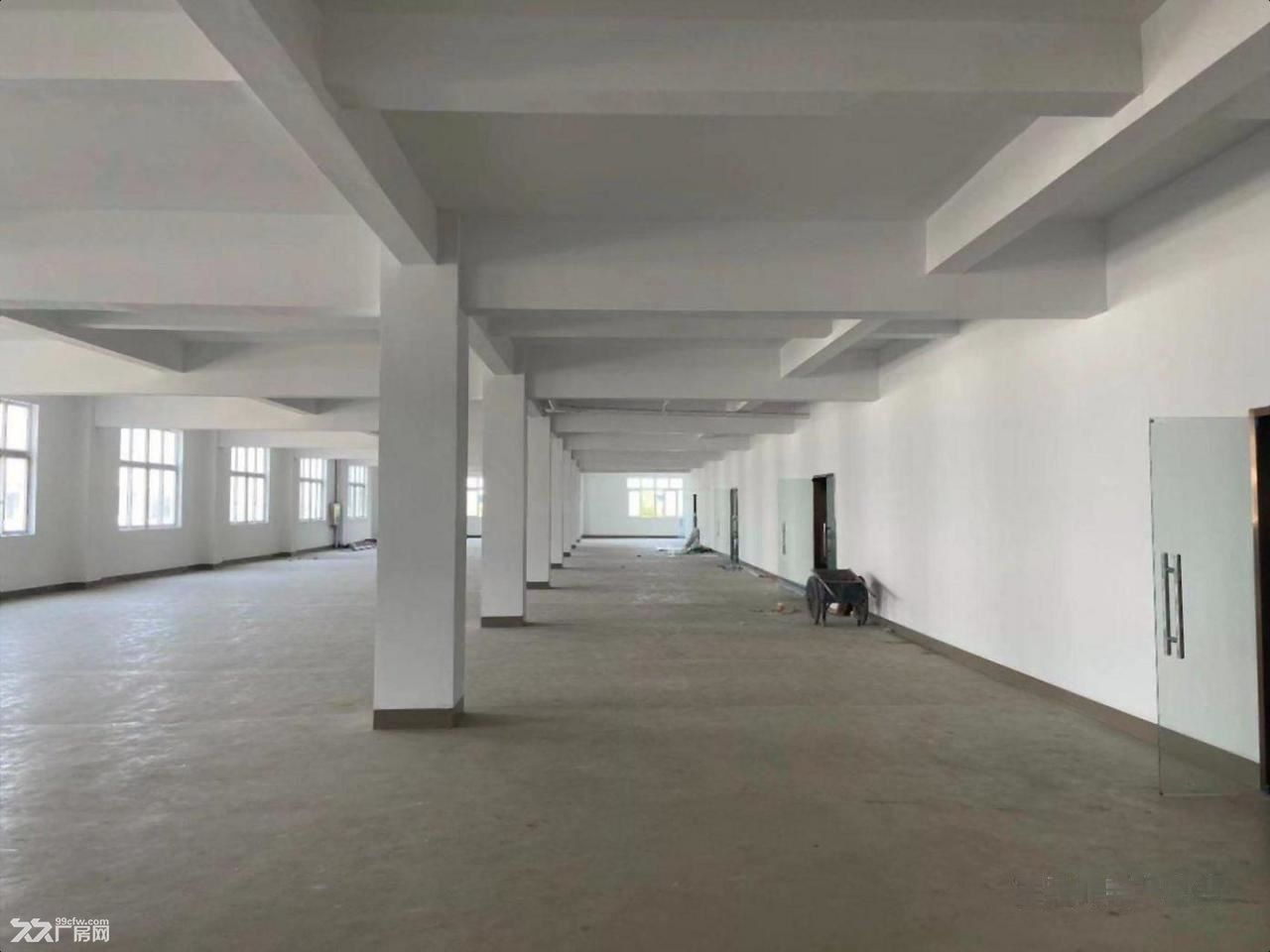 房东出租:嘉定-安亭 于塘路/宝安公路(路口 正规 不后悔的选择 - 5