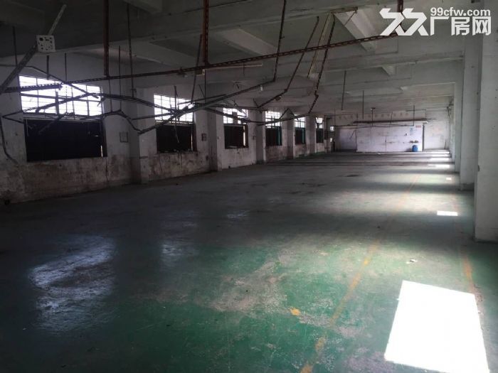 凤岗凤德岭新空出独门独院厂房4500平,刷绿色地漆 - 2