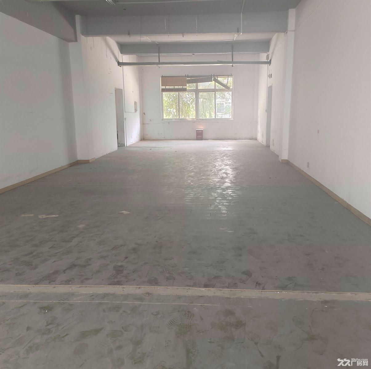 房东出租 江桥新出独门独院6千平，面积大小可分割层高10米场地超大。 - 6