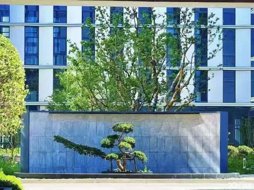 青浦华新4100平独栋厂房出租，可分租 - 3