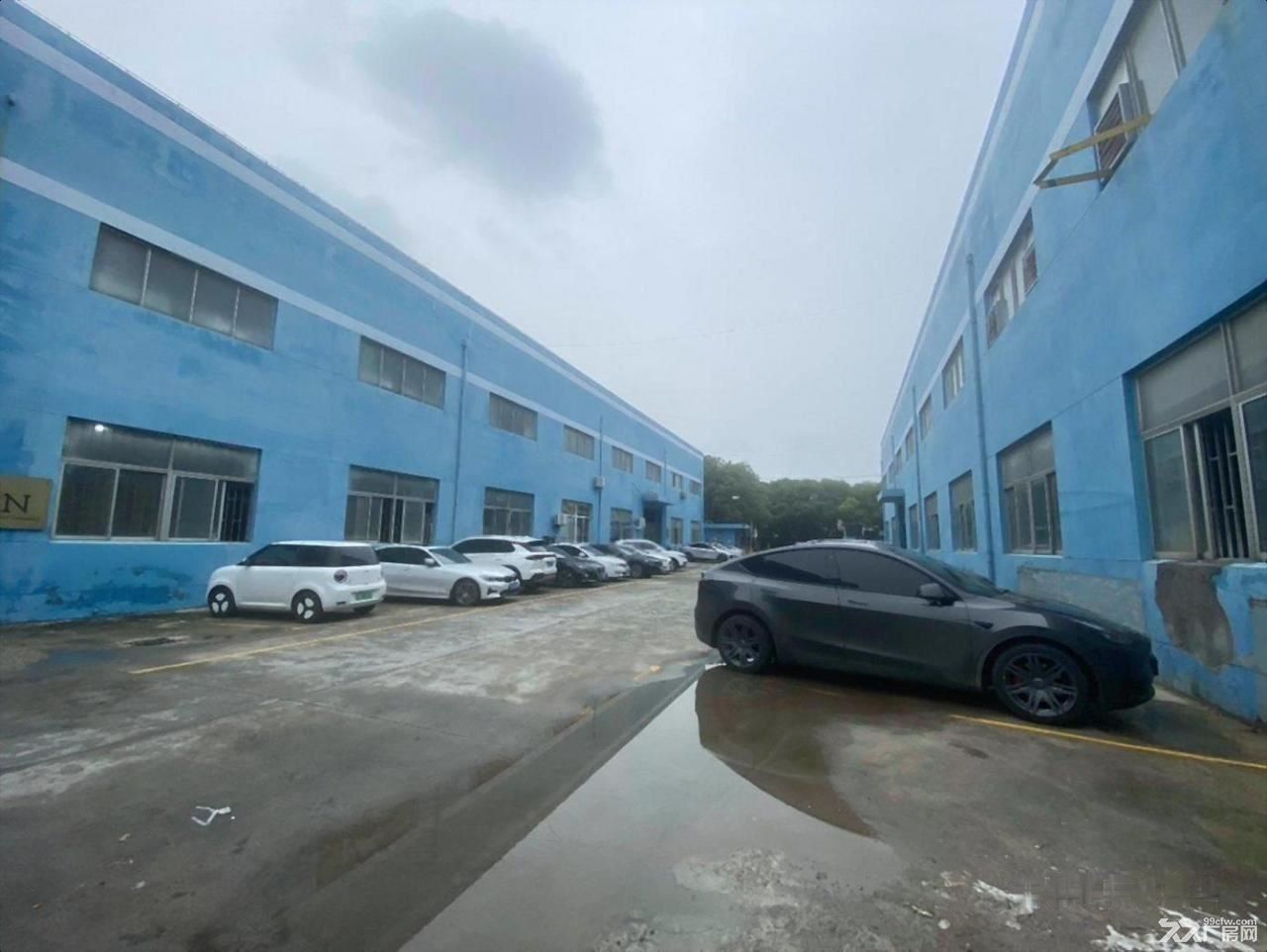 房东出租:嘉定-安亭 园大路与园区路交叉口超值1100.00平华丽出租 - 8