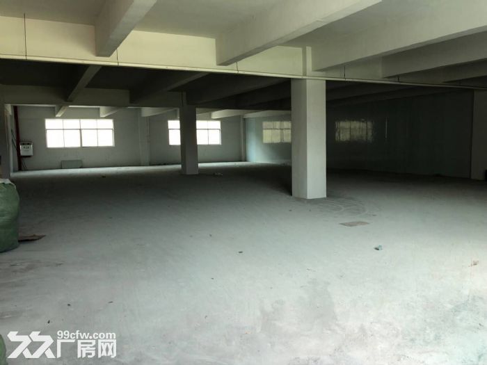 凤岗凤德岭新空出独门独院厂房4500平,刷绿色地漆 - 3