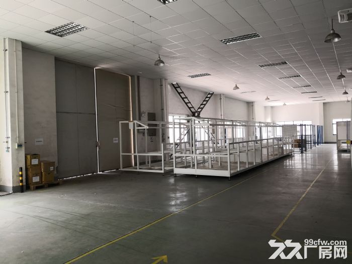 建林路5200m²全新独栋厂房速租 多行业的首选 - 2