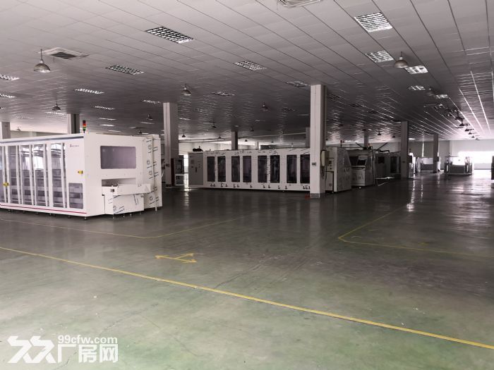 建林路5200m²全新独栋厂房速租 多行业的首选 - 3