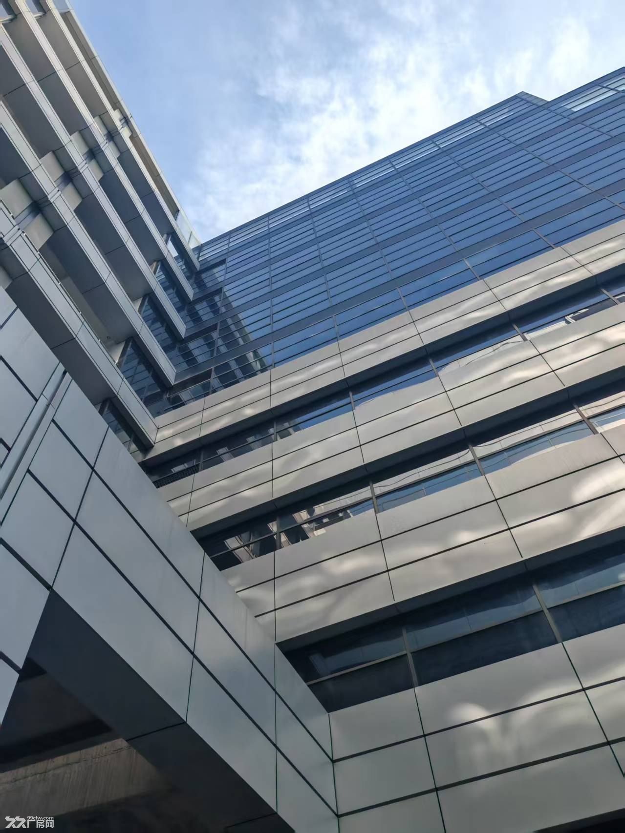 杭州项目政府政策大补贴,免租最长12个月!欢迎苏州企业入驻 - 2