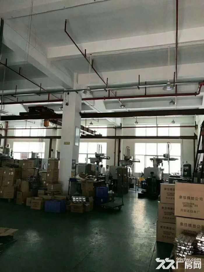 凤岗雁田一楼2700平方厂房出租 适合纸品 注塑 钣金 五金 - 3