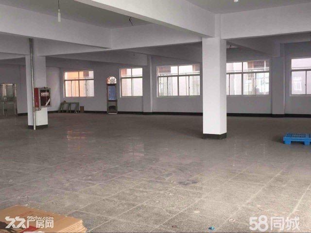 江阴顾山6000平方米左右标准新厂房低价出租 - 3