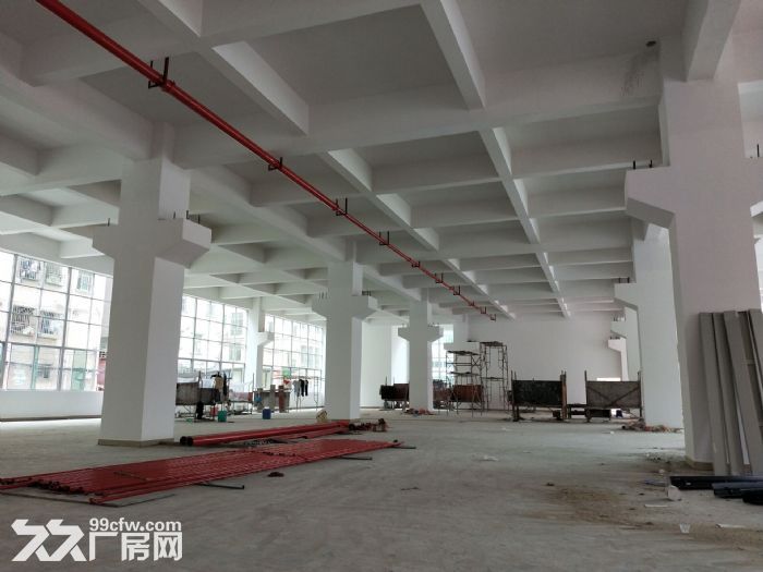 东莞凤岗镇全新大型独门独院厂房出租3万平 有国有证 - 6