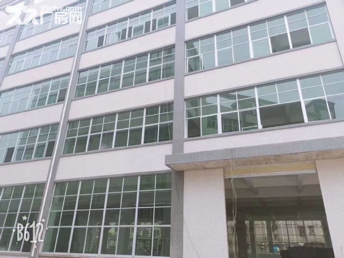 东莞凤岗镇全新大型独门独院厂房出租3万平 有国有证