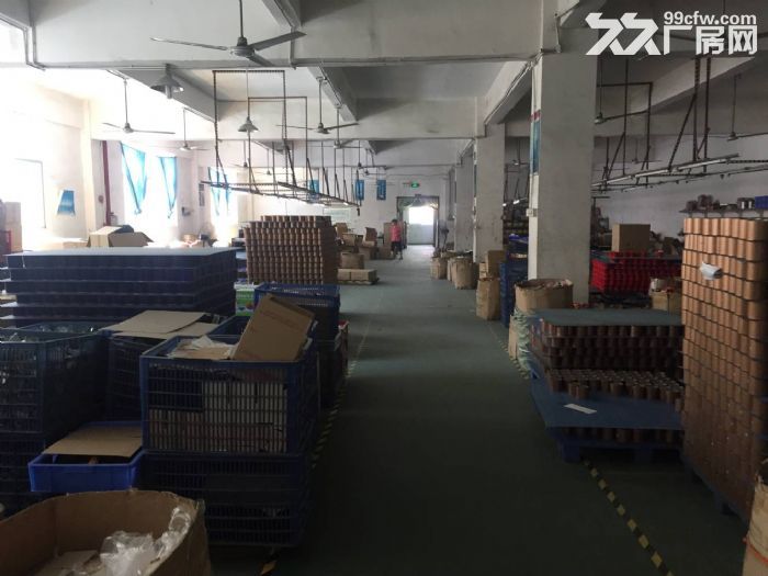 凤岗竹尾田带设备一楼厂房出租1000平方,水电齐全 - 3