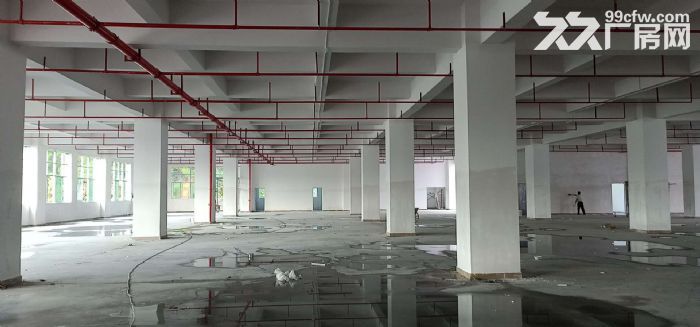 东莞凤岗镇全新大型独门独院厂房出租3万平 有国有证 - 5