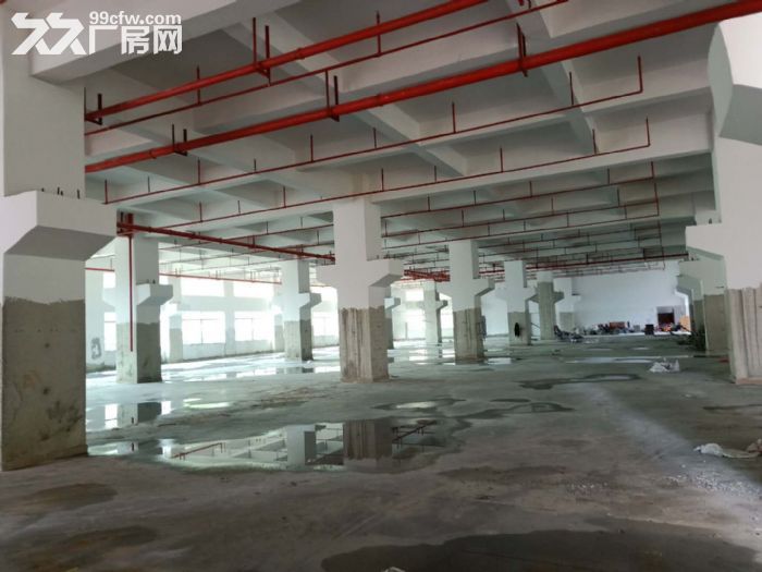 东莞凤岗镇全新大型独门独院厂房出租3万平 有国有证 - 2