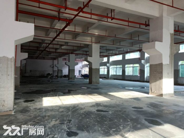 东莞凤岗镇全新大型独门独院厂房出租3万平 有国有证 - 3