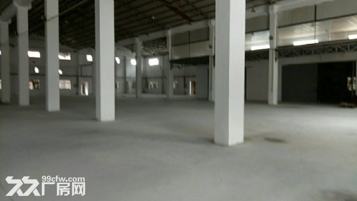 清溪林场现有单一层钢构3500平招租 形象好 - 3