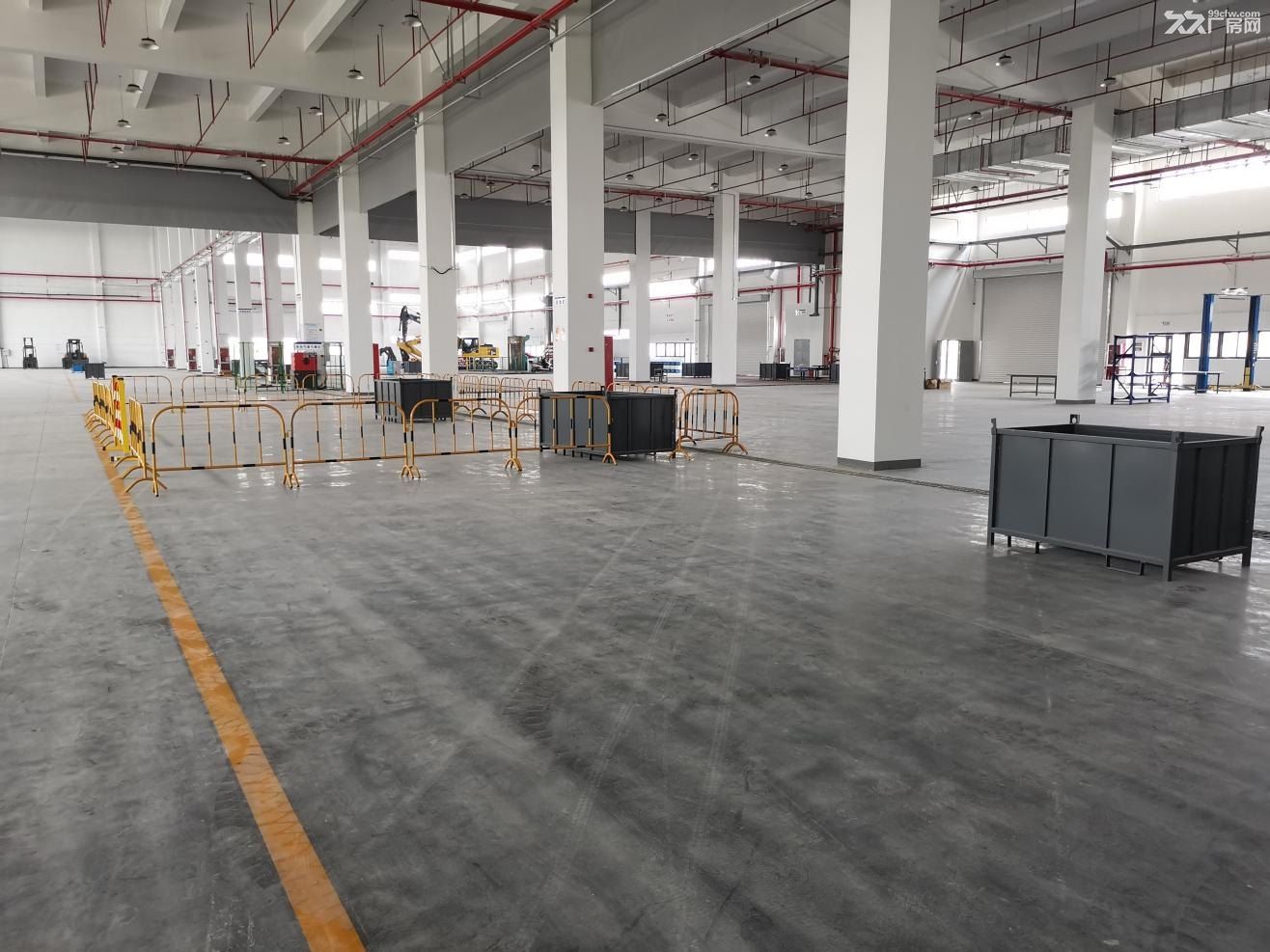 海门独栋有空地有产证 - 3