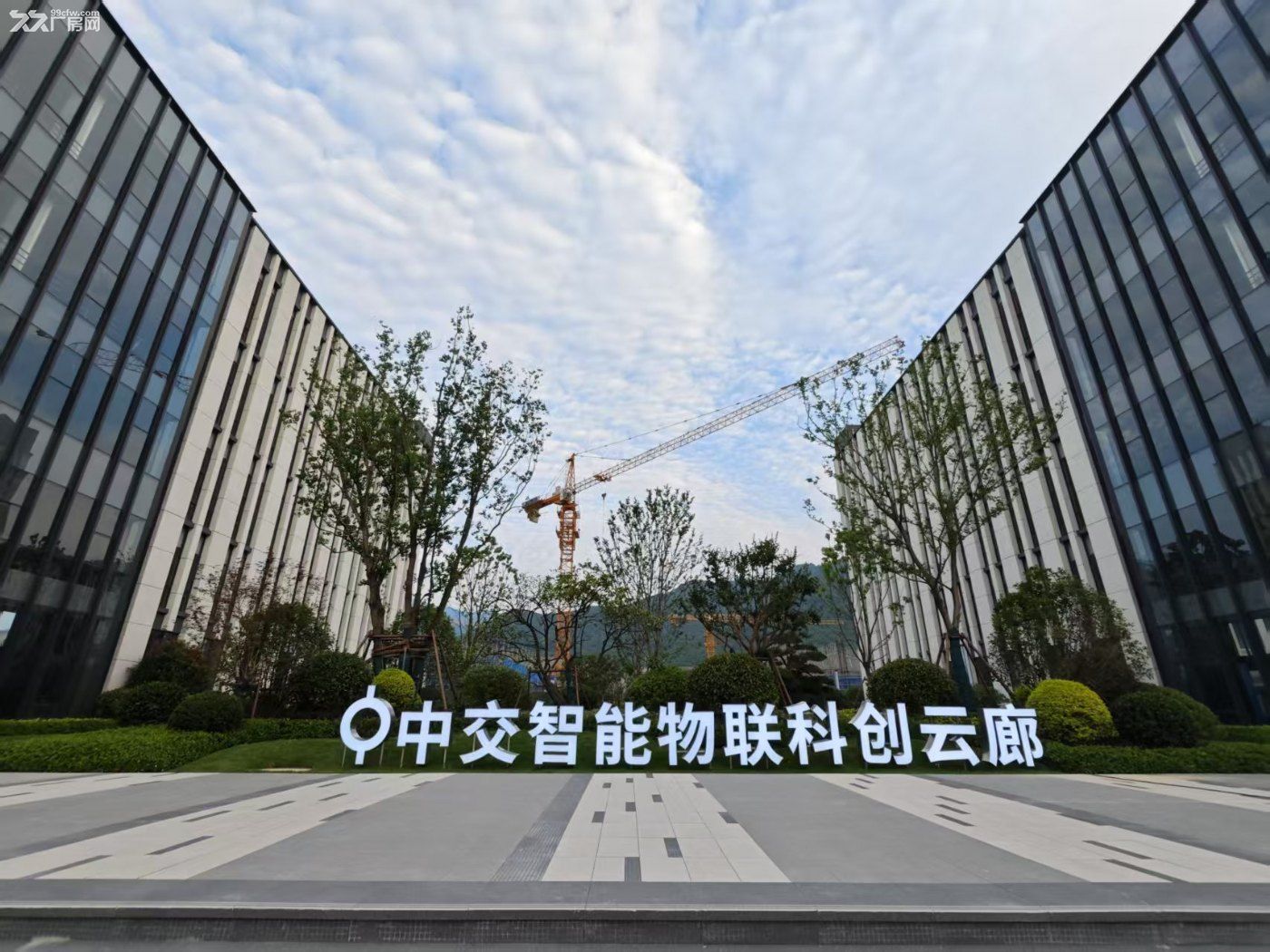 央企开发 品质保障 高性价比厂房 现房销售 即刻入驻