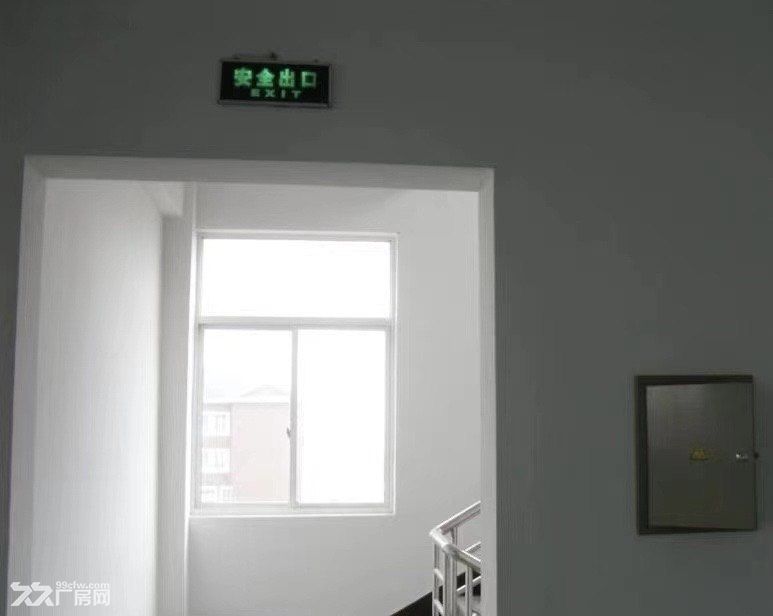 杭州郊区3300㎡一楼高标仓库出租｜层高6米，适合电商云仓、三方仓储，可分租