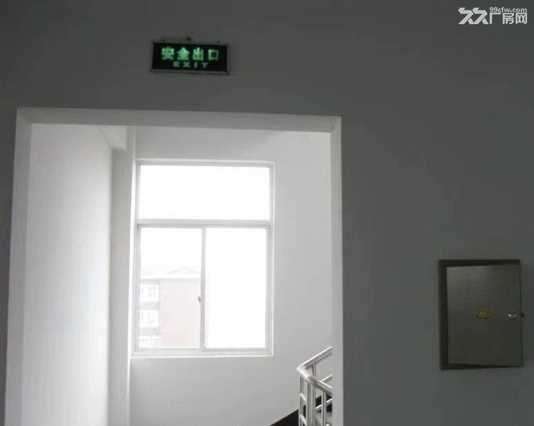 浙江省杭州市余杭区仁和大运河工业区厂房出租