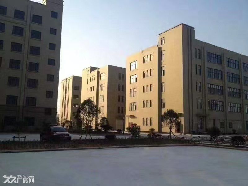 出租瓯江口新区标准厂房（低价出租）