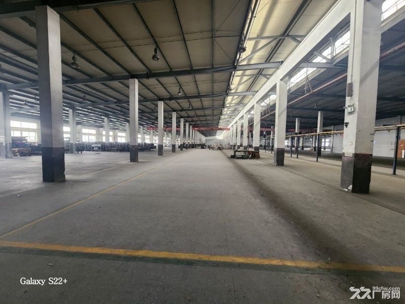 秀洲区1000平到8万平厂房出租 一楼 二楼都可以分割