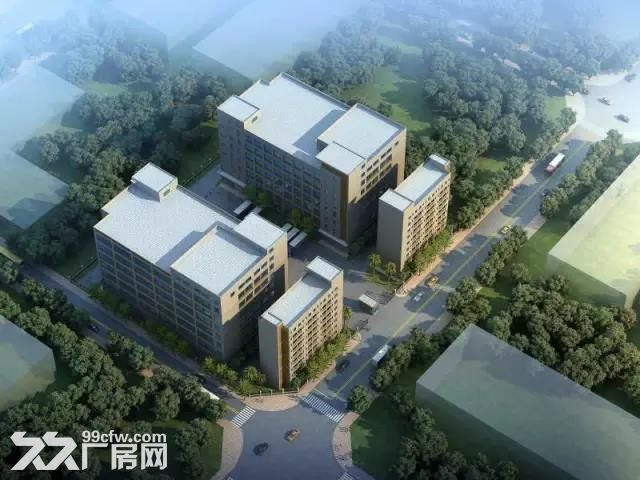塘厦科苑城全新一楼厂房出租4000平方米 也可做电商仓库 - 2