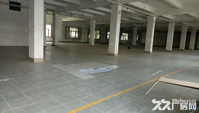 清溪谢坑全新一楼标准厂房对外招租2000平