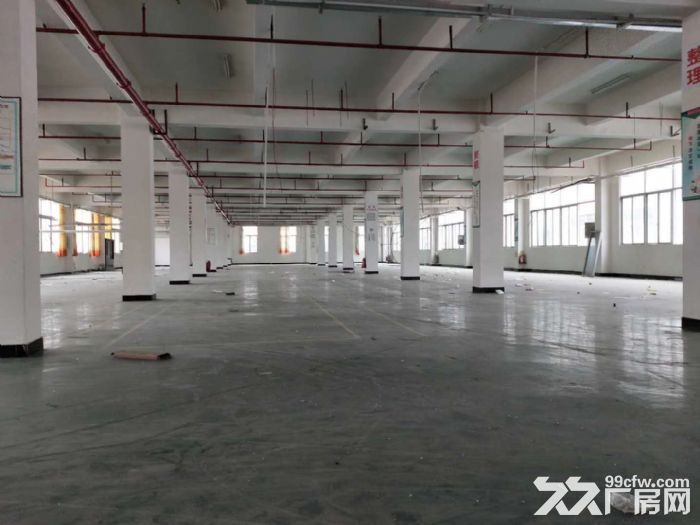 凤岗雁田出租独门独院3万平方，高6米，带装修办公室 - 5