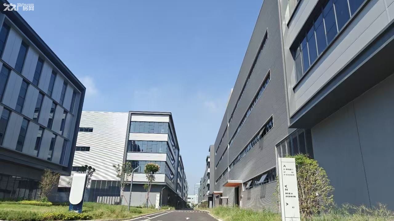 杭州下沙大学城北 13万方标准厂房 可分租 - 4