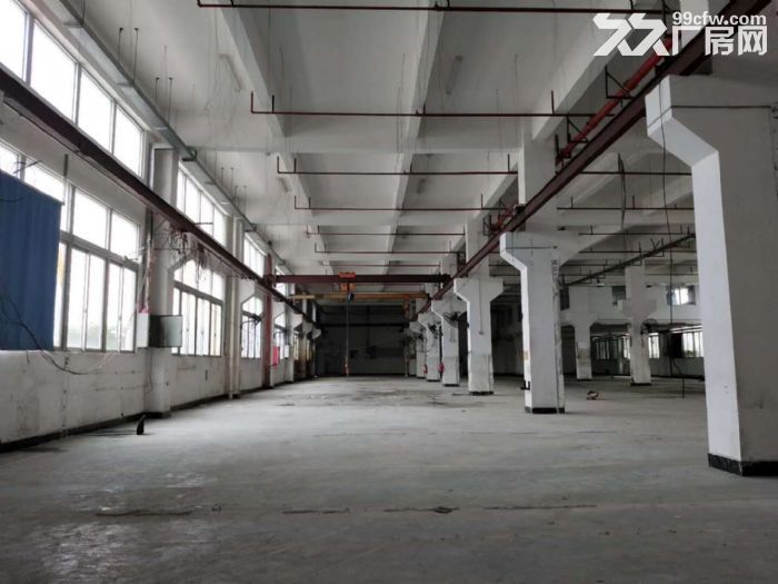 凤岗雁田出租独门独院3万平方，高6米，带装修办公室 - 3