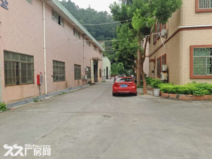 清溪近塘厦原房东1100平单一层钢构厂房 模具五金 - 3